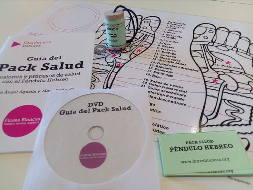 Pack Salud, etiquetas de anatomía y procesos de salud. 63 etiquetas