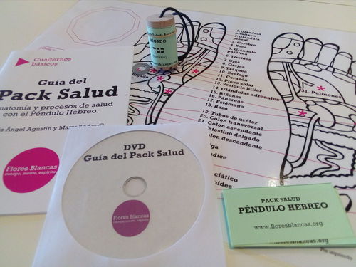 Pack Salud, etiquetas de anatomía y procesos de salud. 63 etiquetas. Formato PDF