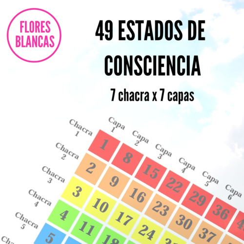 TALLER 49 ESTADOS DE CONSCIENCIA